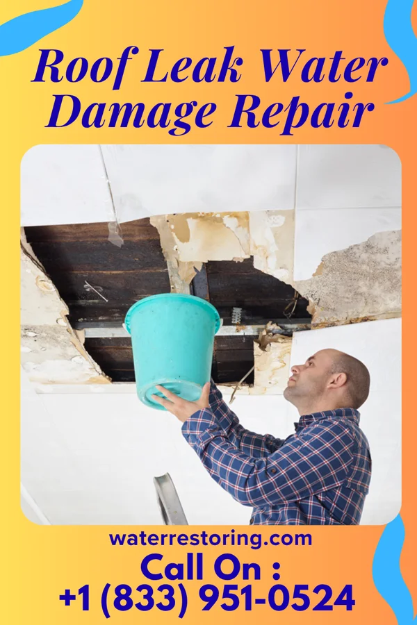 Roof Leak Water Damage Repair in Mount Pleasant, AR