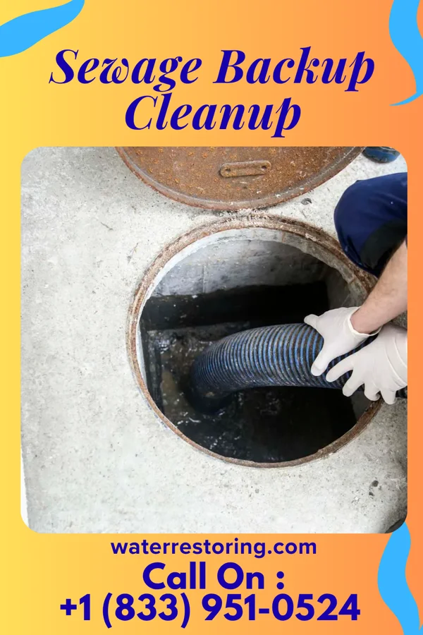 Sewage Backup Cleanup in Mount Pleasant, AR